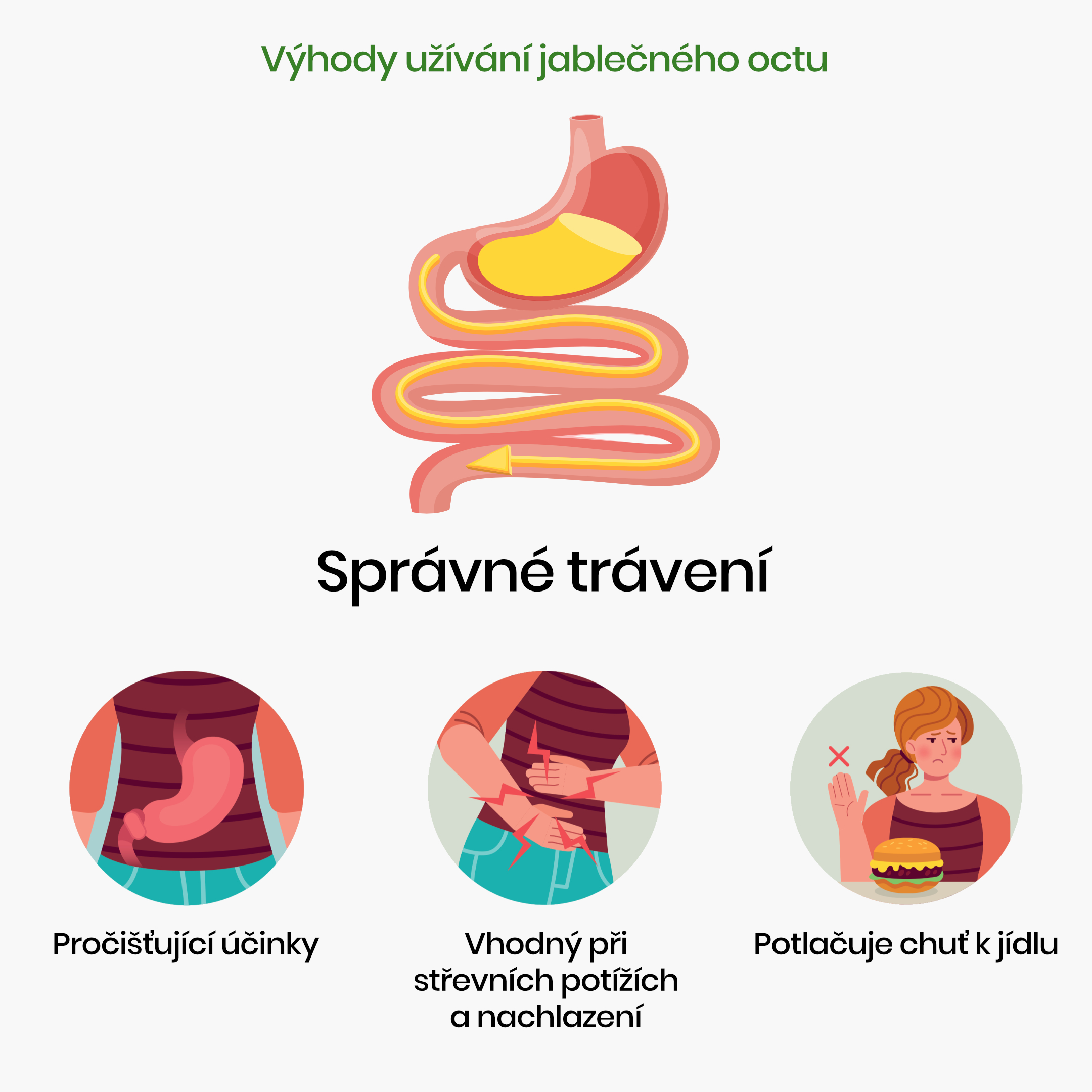 Výhody užívání jablečného octu_Infografika_cz